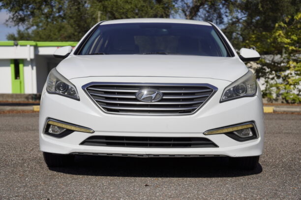 NKLL Sonata White