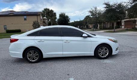 NKLL Sonata White